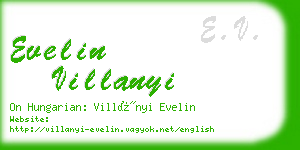 evelin villanyi business card